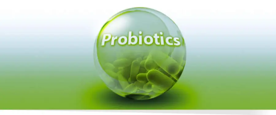 I Probiotici funzionano? E quando?
