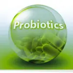 I Probiotici funzionano? E quando?