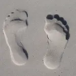 Il benessere della parte bassa e della postura dipende dai piedi